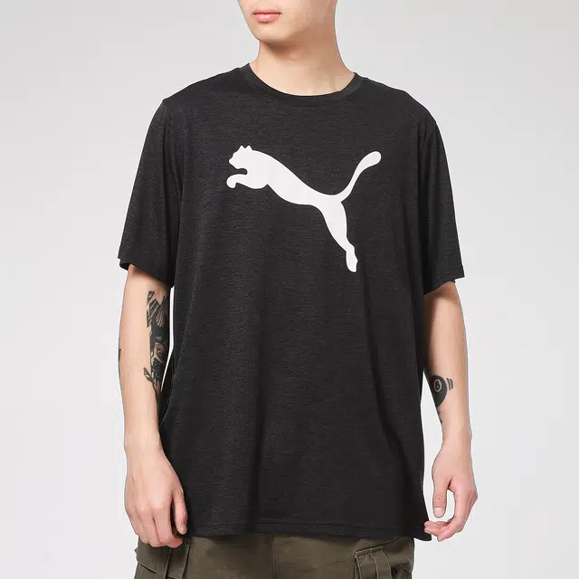 Puma T
