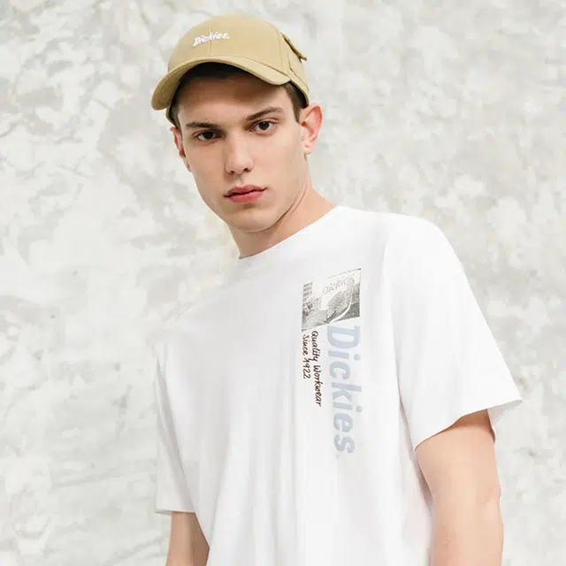 Dickies LOGO