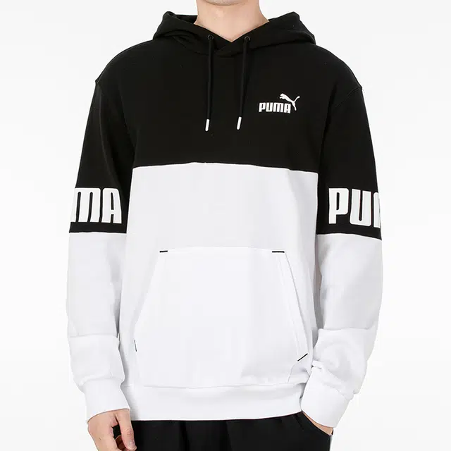Puma Power Logo