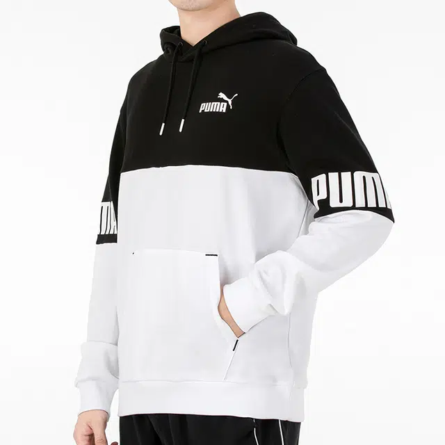Puma Power Logo