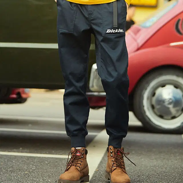 Dickies Logo