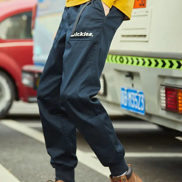 Dickies Logo