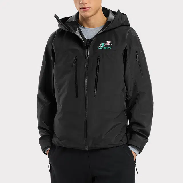 Arcteryx Alpha Sv Gore-tex Pro
