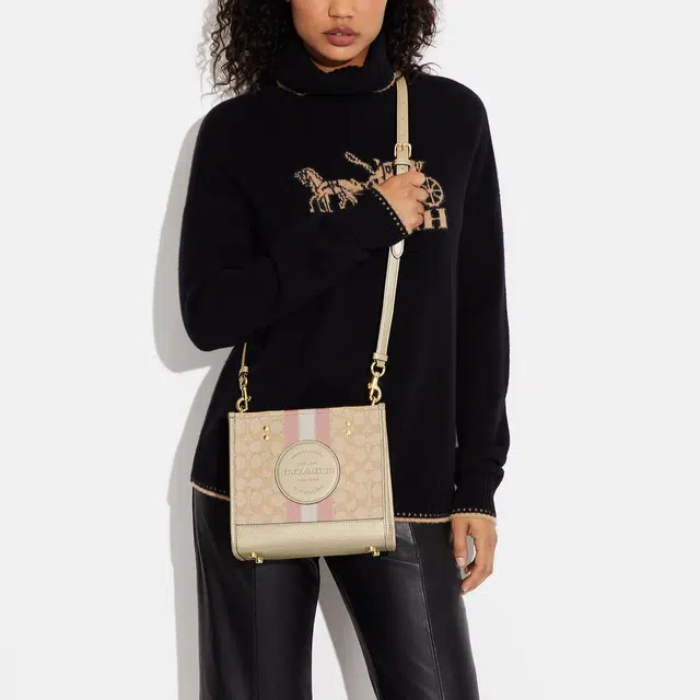 COACH Dempsey 22 Tote