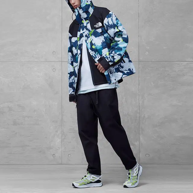 THE NORTH FACE