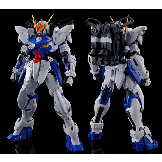 BANDAI 1100 MG SEED DESTINY ASTRAY D