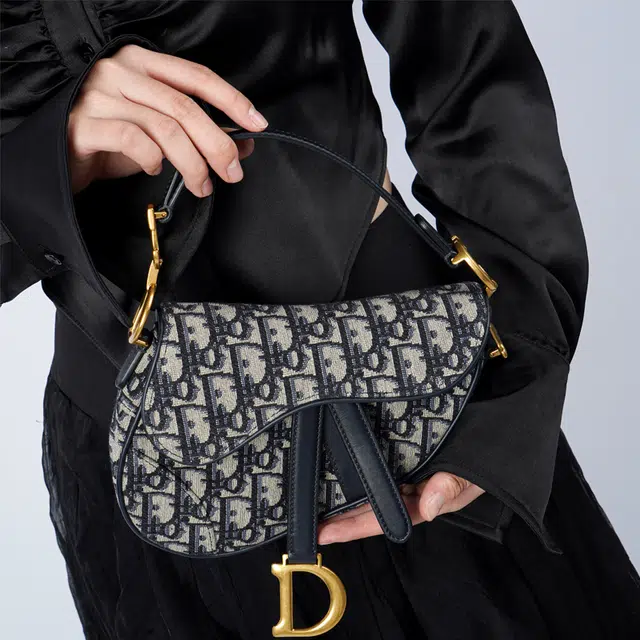 DIOR Saddle Oblique