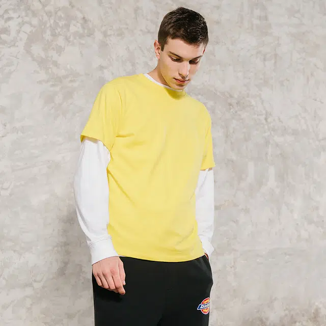 Dickies SS21 logoT