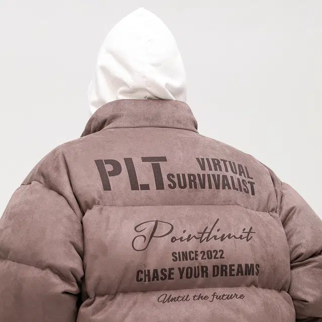 POINTLIMIT Logo