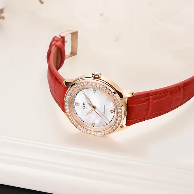 IW CARNIVAL HWGUOJI DW8593L