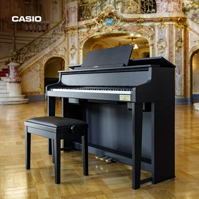 CASIO GP-310