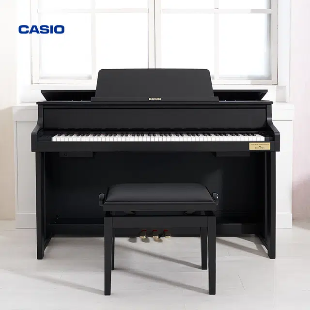 CASIO GP-310