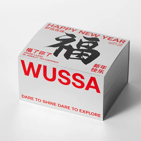 WUSSA Alpha AP02E