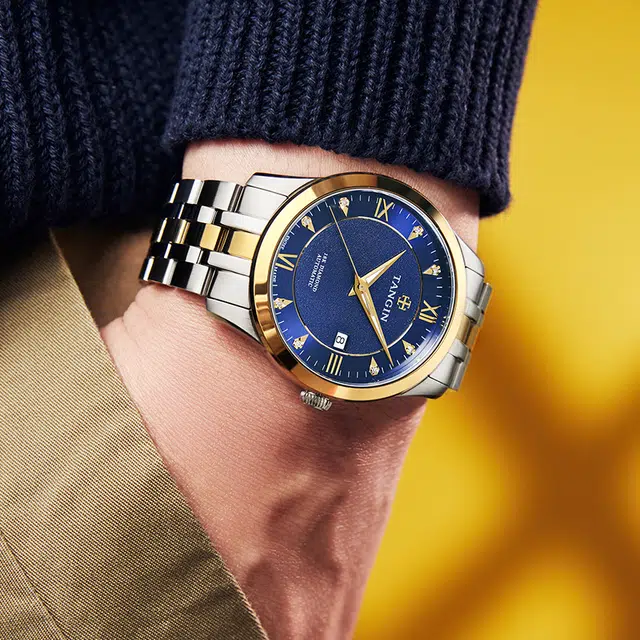 TANGIN 18K 41mm T3025GYBJB