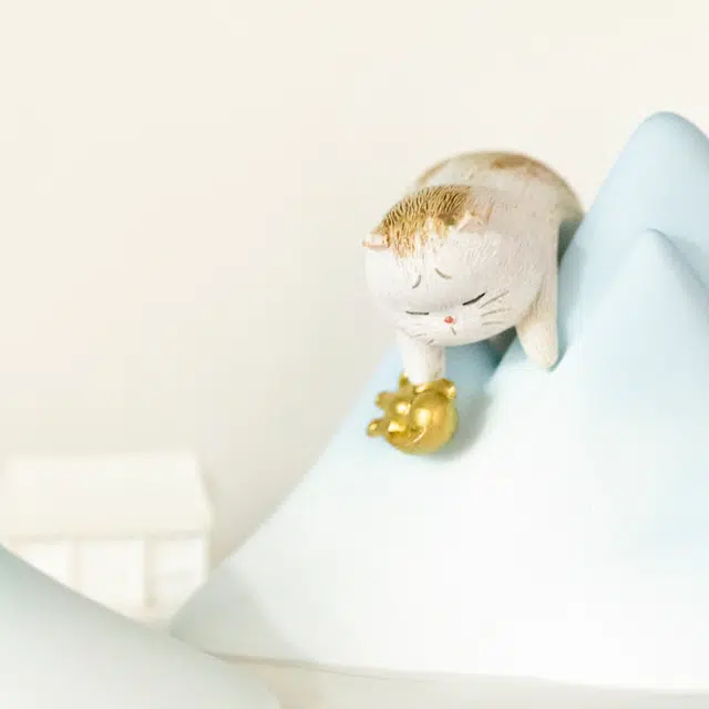 IP