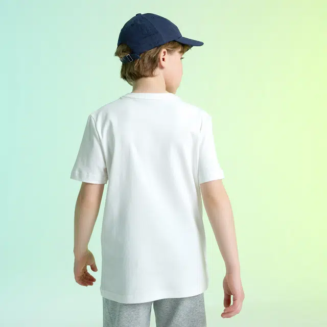 Kappa T