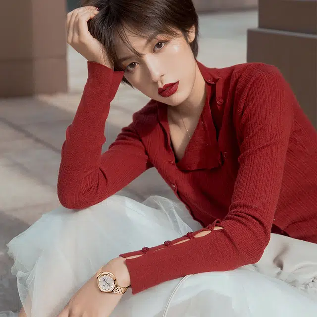 TIANWANG 51176
