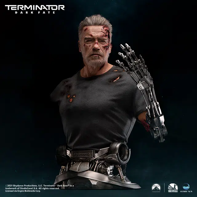 100 x 11 t-800
