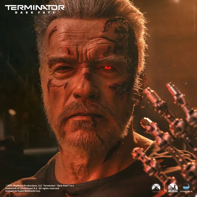 100 x 11 t-800