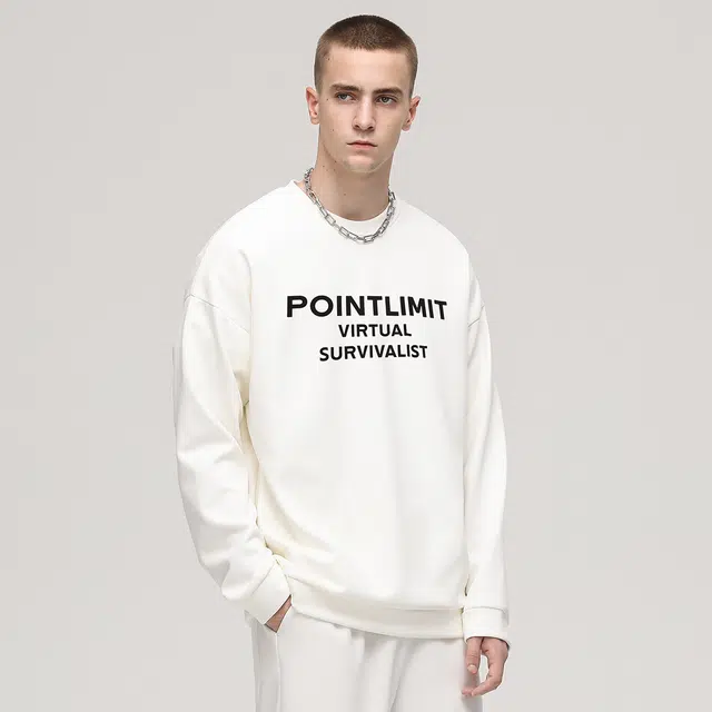 POINTLIMIT Logo