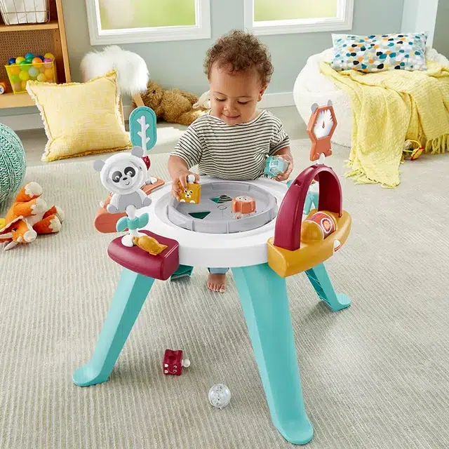 FISHER-PRICE 31
