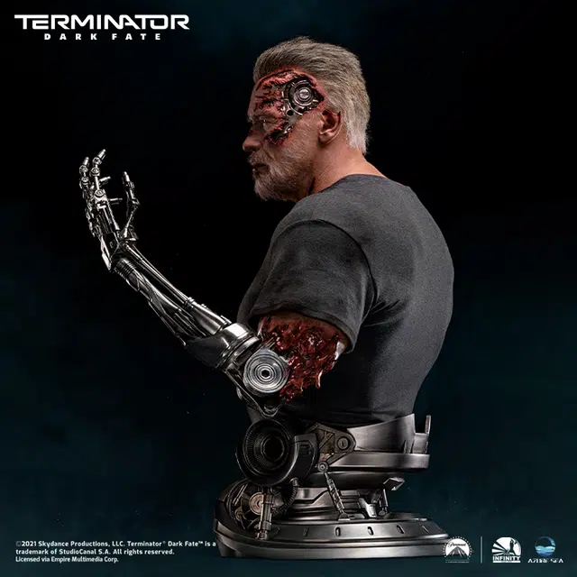 100 x 11 t-800