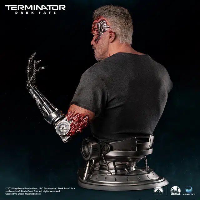 100 x 11 t-800