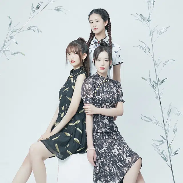 松雾叶雪纺泡泡袖短袖连衣裙 女款 黑色