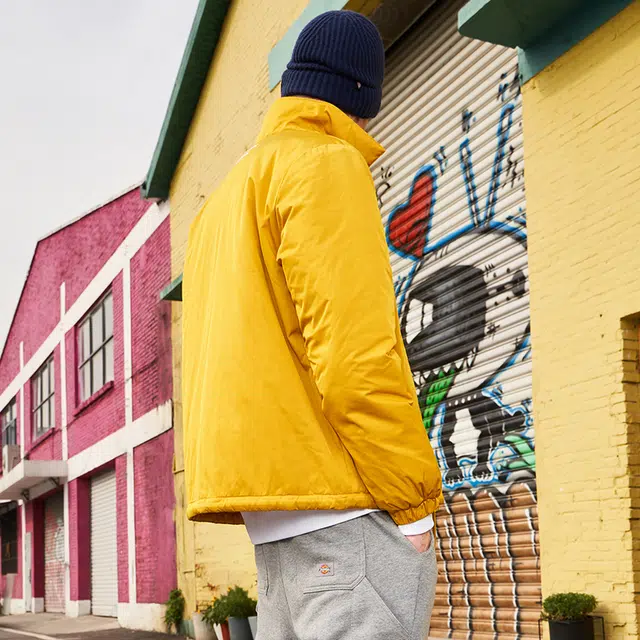 Dickies