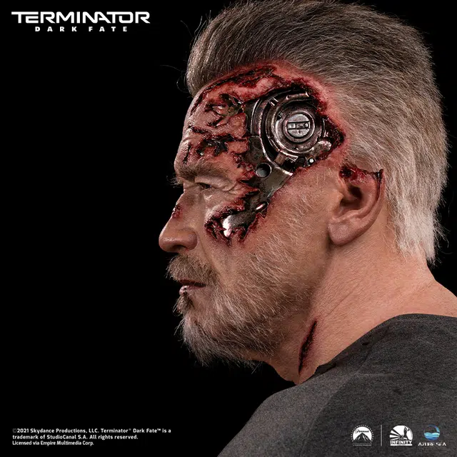 100 x 11 t-800