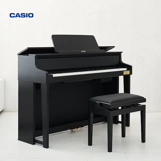 CASIO GP-310