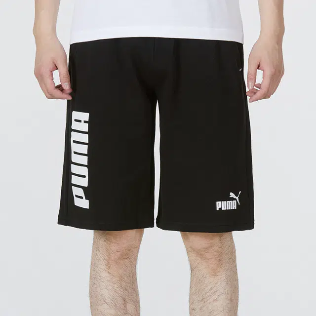 Puma Power Logo