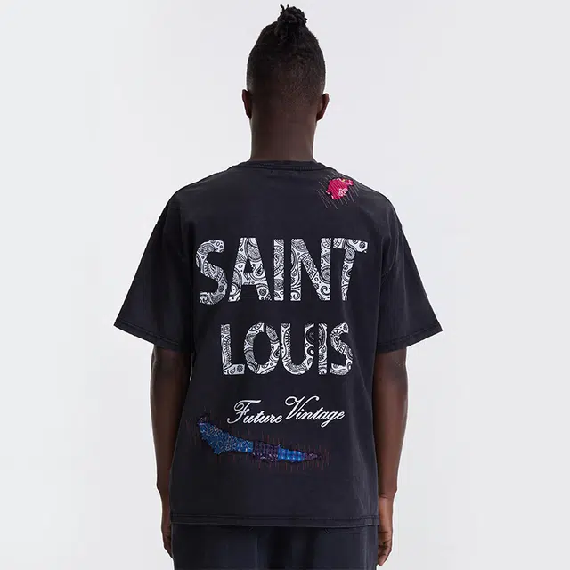 SSSAINT LOUIS T