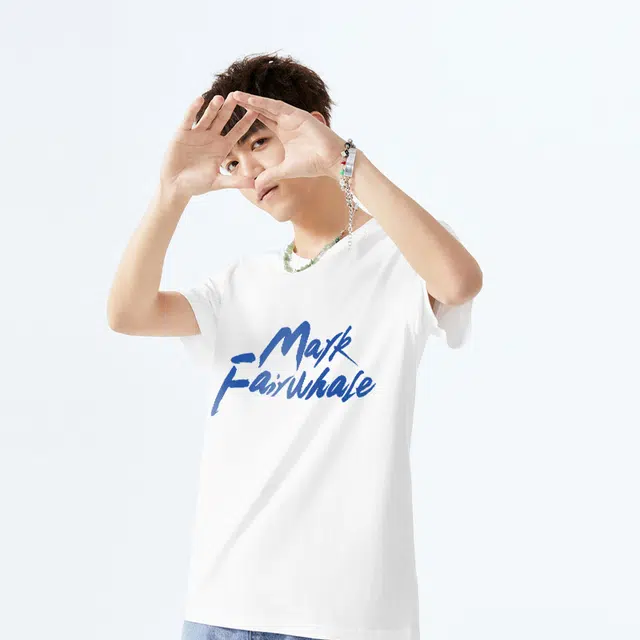 FAIRWHALE Logo300gT