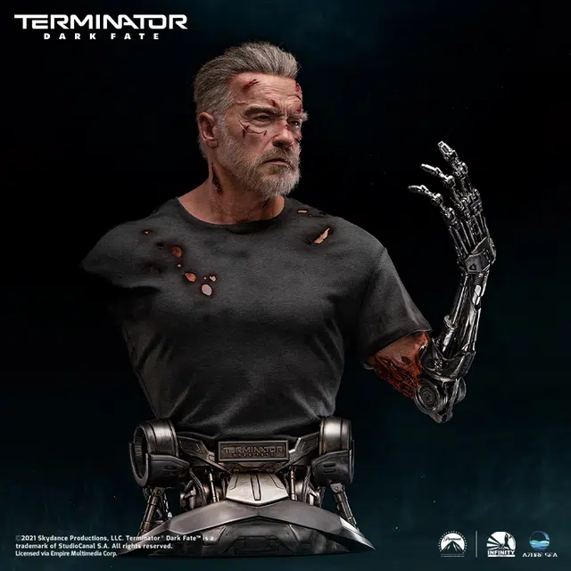 100 x 11 t-800