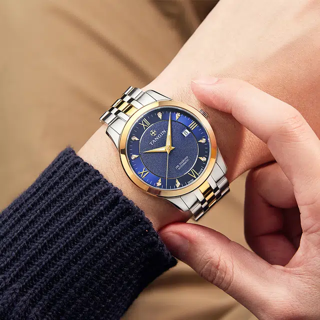 TANGIN 18K 41mm T3025GYBJB