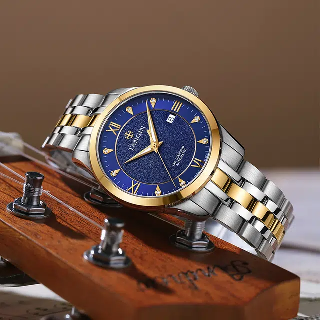 TANGIN 18K 41mm T3025GYBJB