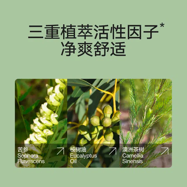 300ml * 2