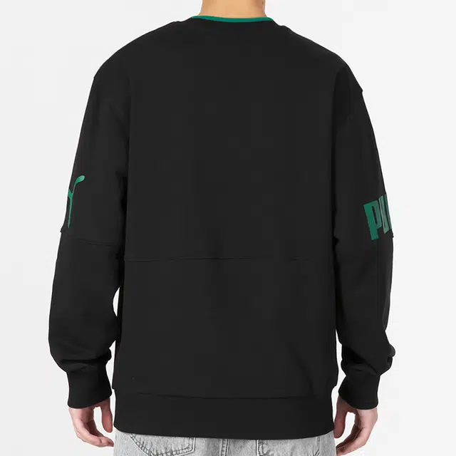 PUMA Power Colorblock Crew Tr Logo