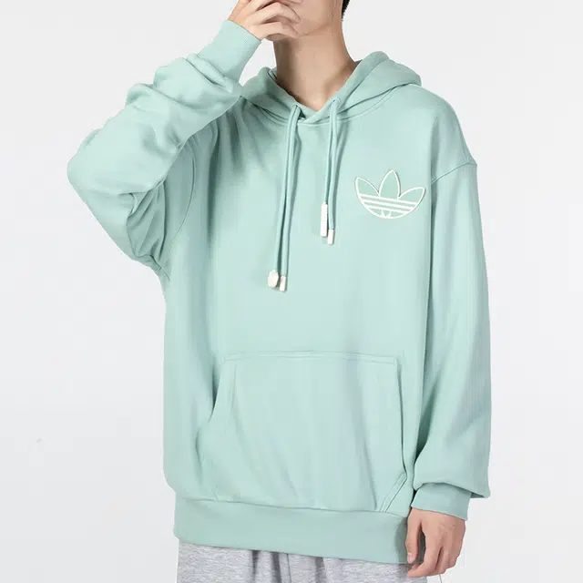 adidas originals Adicolor Hoody Logo