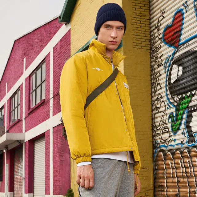Dickies