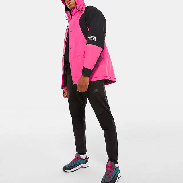 THE NORTH FACE 1994 Retro Mountain Futurelight