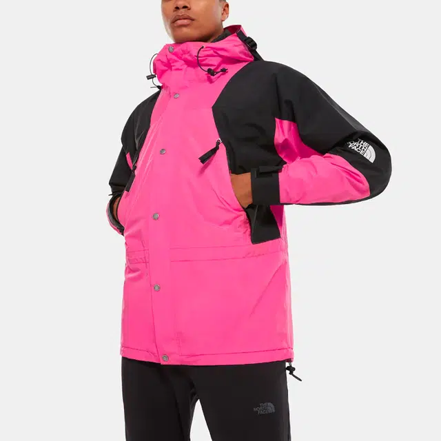 THE NORTH FACE 1994 Retro Mountain Futurelight