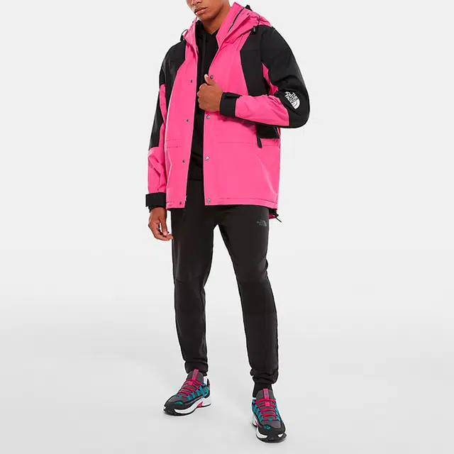 THE NORTH FACE 1994 Retro Mountain Futurelight