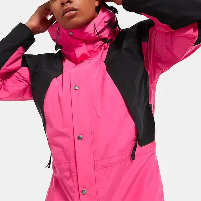 THE NORTH FACE 1994 Retro Mountain Futurelight