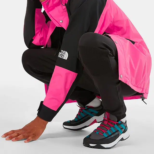 THE NORTH FACE 1994 Retro Mountain Futurelight