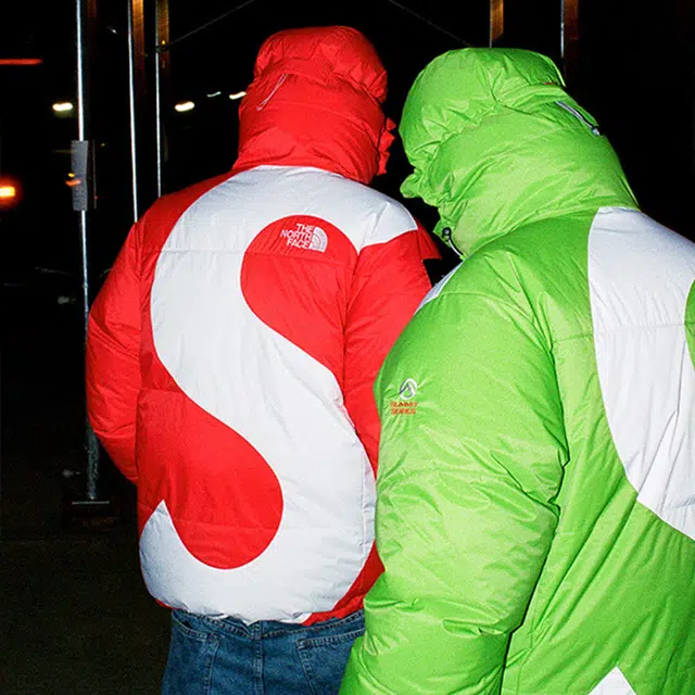 Supreme x THE NORTH FACE FW20 Logo