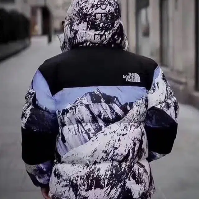 Supreme x THE NORTH FACE