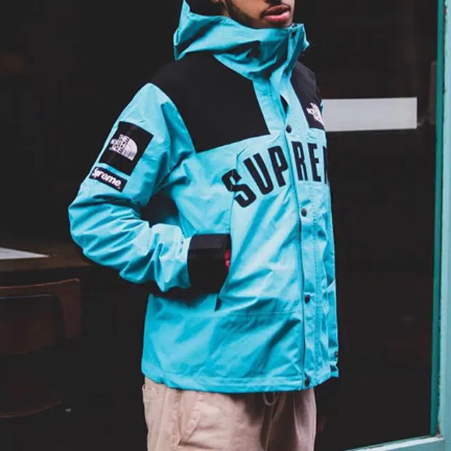 Supreme x THE NORTH FACE SS19