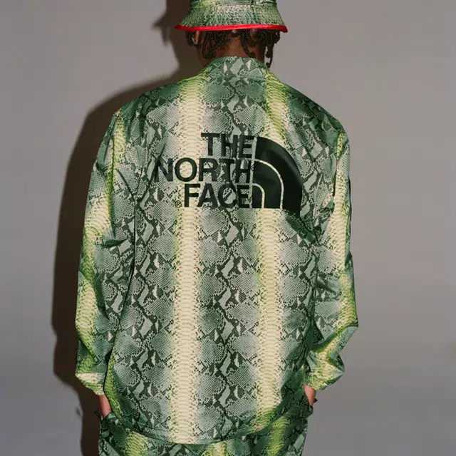 Supreme x THE NORTH FACE SS18TNF